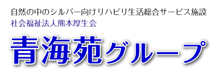 ���R�̒��̃V���o�[�������n�r�����������T�[�r�X�{�݁@�Љ���@�l�F�{������@�C��