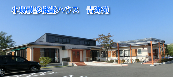 ���V�l�ی��{�ݐC��