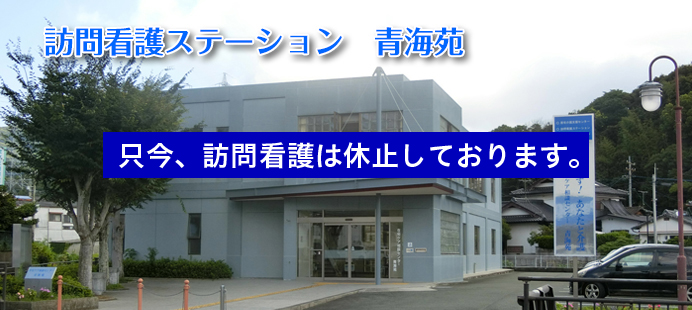 ���V�l�ی��{�ݐC��